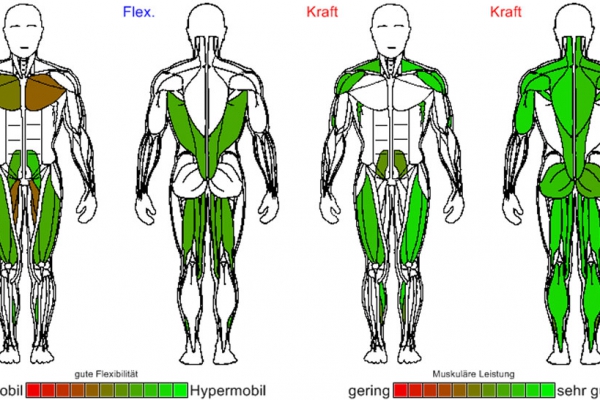 somatomtestung8CD6A888-F1FB-0840-1E8B-C1D7306225F2.jpg