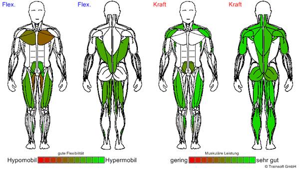 Sportschule Kinema | Somatomtestung