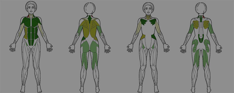 Maximalkraftmessung - Leistungsdiagnostik KINEMA